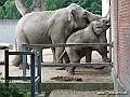 KBH zoo 190703 441